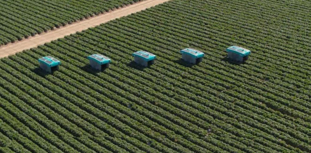 El Futuro de la Agricultura: La Revolución de la Robótica Agrícola. 1
